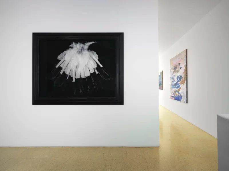 As the Moonbird flies, Fiona Pardington, Shane Cotton, Simone Griffin