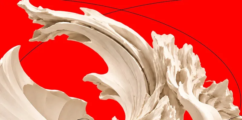 Flesh of Vessel, Soko Hwang