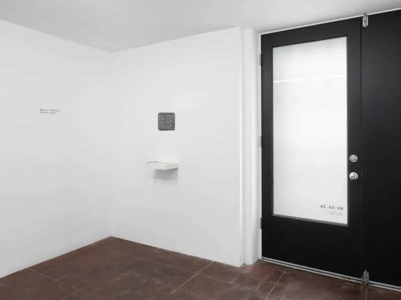 Before-After, Walter Wittel