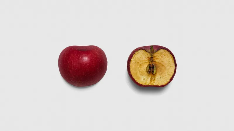 Higher Perplexity, Marco Maggi