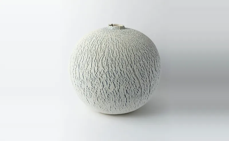 MASTER PIECES Eleven Modern Japanese Ceramicists, Arakawa Toyozō, Ishiguro Munemaro, Kamoda Shōji, Kaneshige Tōyō, Kawai Kanjirō, Kitaōji Rosanjin, Kuriki Tatsusuke, Matsui Kosei, Okabe Mineo, Raku Jikinyū, Shōji Hamada