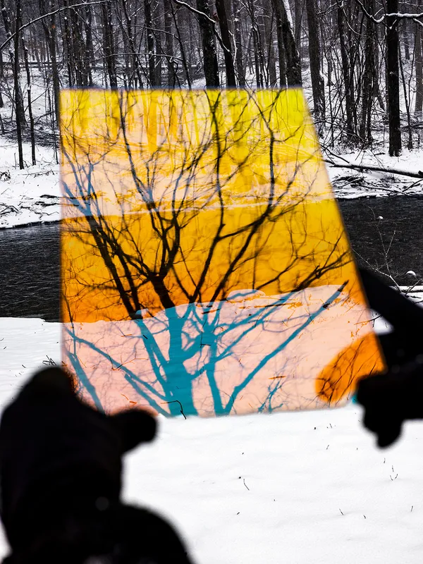 Nature Represented and Reproduced, Aziz + Cucher, Daniel Handal, Kathleen Gerber, Lori Nix, Michael Scandling, Olaf Otto Becker, Pia Paulina Guilmoth, Pipo Nguyen-duy, Robert Voit, Stacy Arezou Mehrfar, Vija Celmins