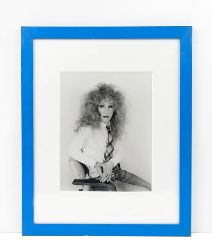 Other Sides of Andy, Andy Warhol, Bob Adelman, Christopher Makos, Jimmy DeSana, Meryl Meisler