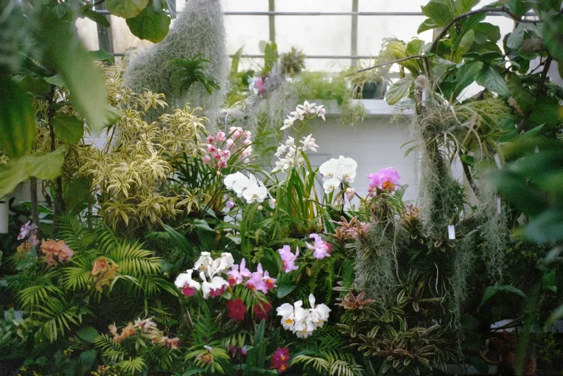 Rainbow Room, Heji Shin, Kianja Strobert, Ronald Sterling, Sophie Kovel