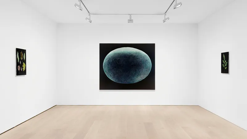 Suchness, Daichi Takagi