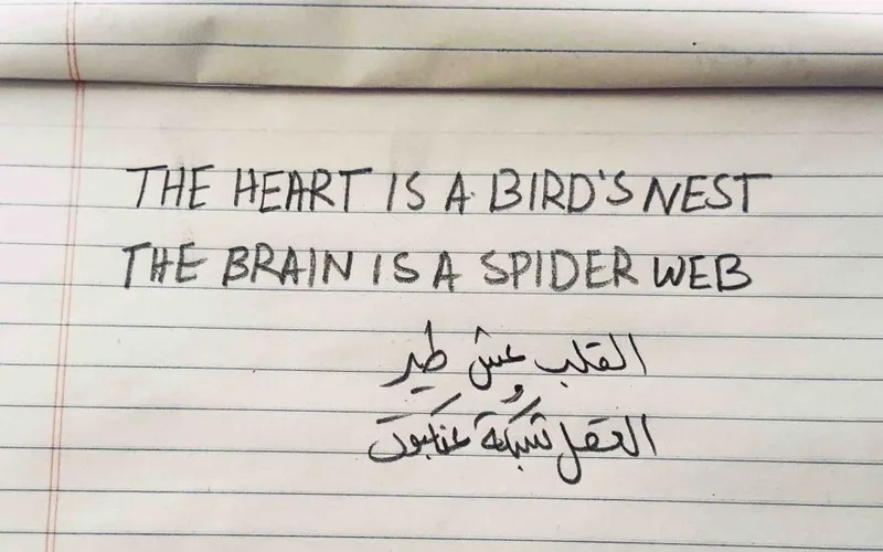The heart is a bird’s nest, the brain is a spider web, Mohammad Alfaraj
