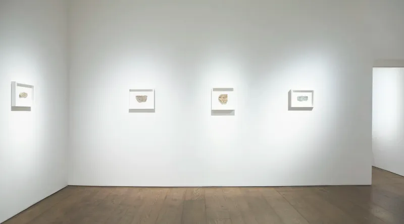 Lower Gallery Spotlight, Movana Chen