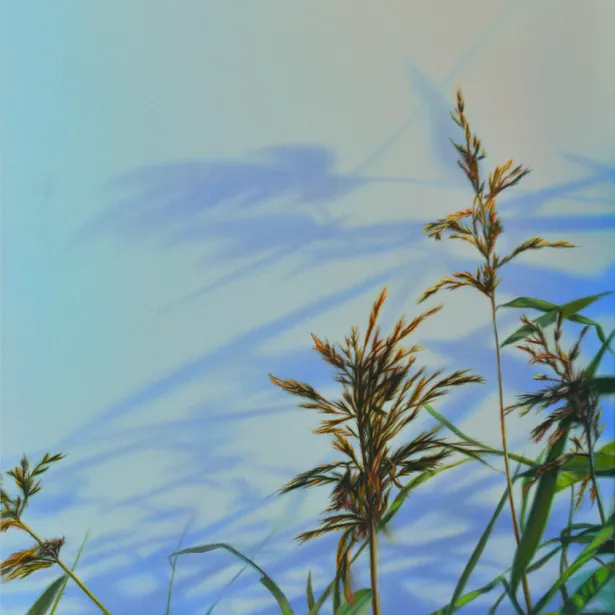 Flora, Edite Grinberga