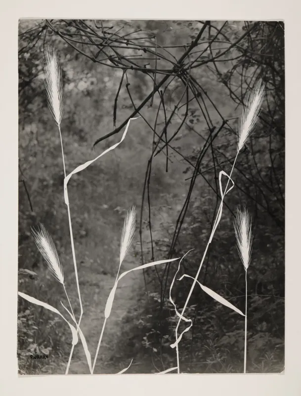 Pierre Jahan (1909-2003) - Rétrospective, Pierre Jahan
