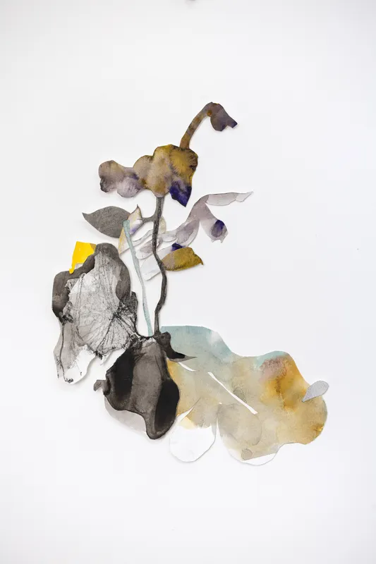 Sous les bois, dans les jardins, à l’ombre des vallons, Benjamin Nachtwey, Emmy Bergsma, Fabrice Cazenave