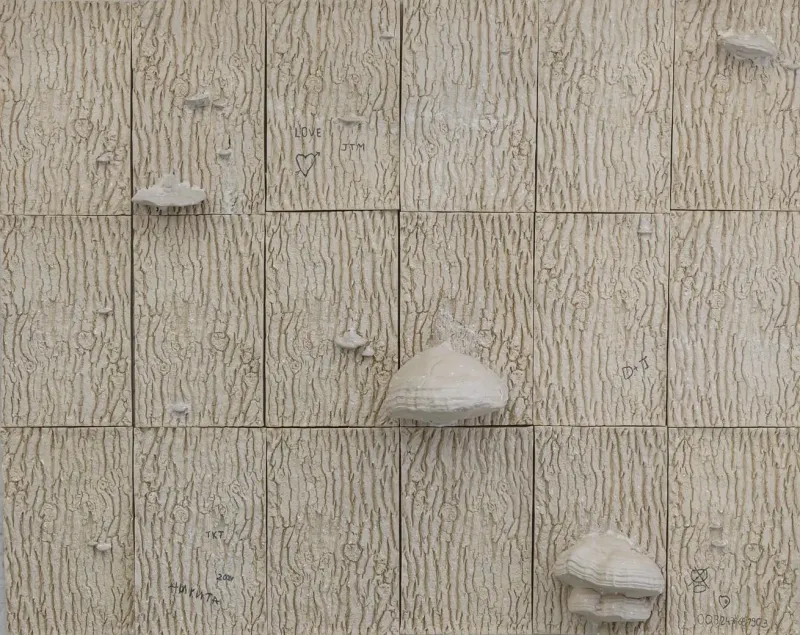 Au-delà de la ville, Jonas Moënne