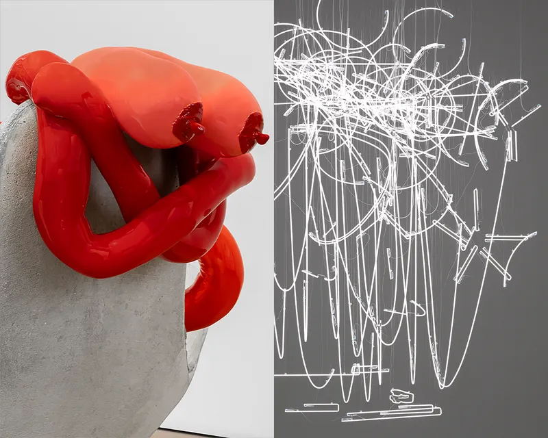 Je Pense, Cerith Wyn Evans, Sarah Lucas