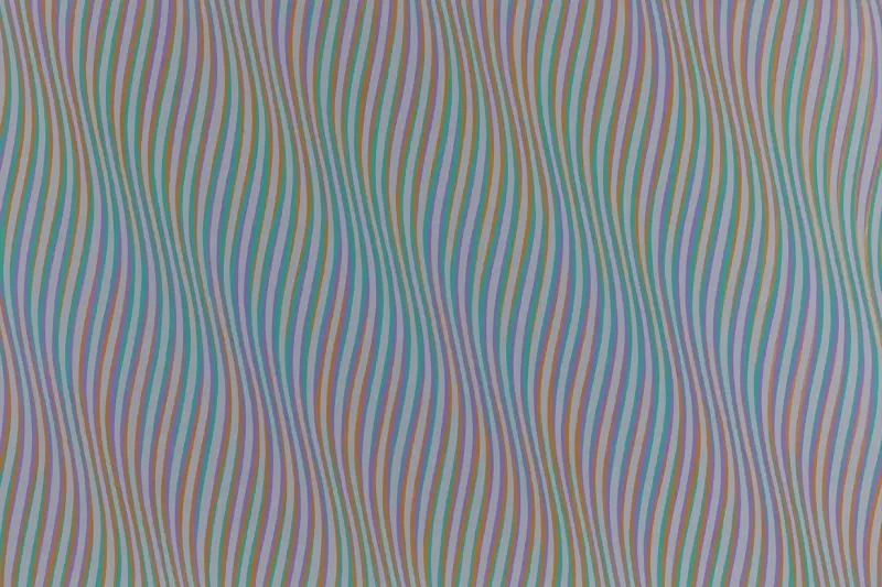 Bridget Riley, Bridget Riley