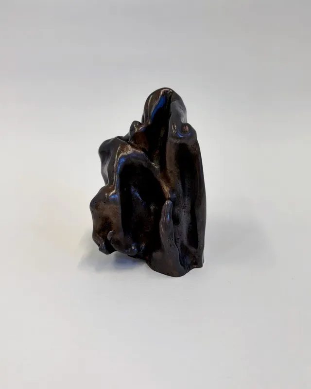 hylē: a language without words, Anya Mokhova, Ekaterina Adelskaya, Eleanor Havsteen-Franklin, Irina Razumovskaya, Lana Locke, Maria Koshenkova, Meredith McGee, Sam Shaw, Sato Sugamoto, Stella Arion