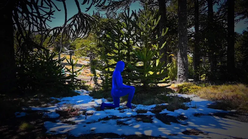 The Skin of the Earth Is Seamless, Brenda Mallory, Gi (Ginny) Huo, Kara Springer, Magdalena Ciemierkiewicz, Nardeen Srouji, Seba Calfuqueo, Simon Liu, Verónica Gaona