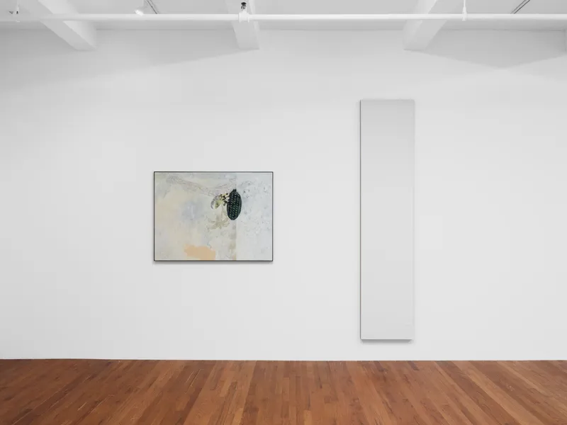 Language suffers, Kenneth Winterschladen