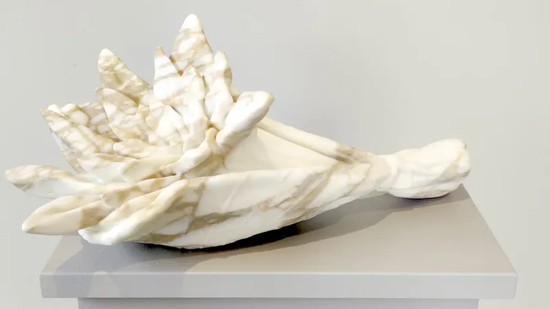 Permanence in Bloom, Jon Isherwood