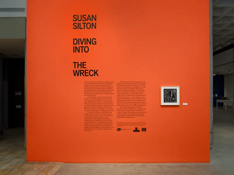 Diving into the Wreck, Susan Silton