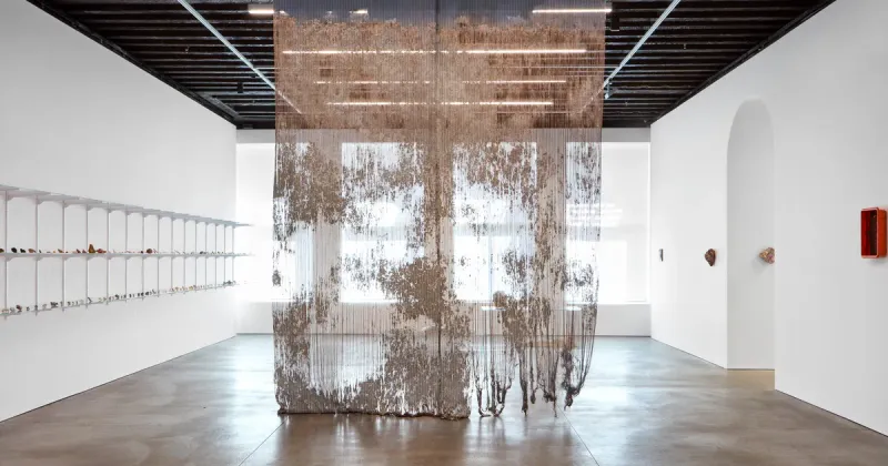 Notes on What is What, Edith Dekyndt