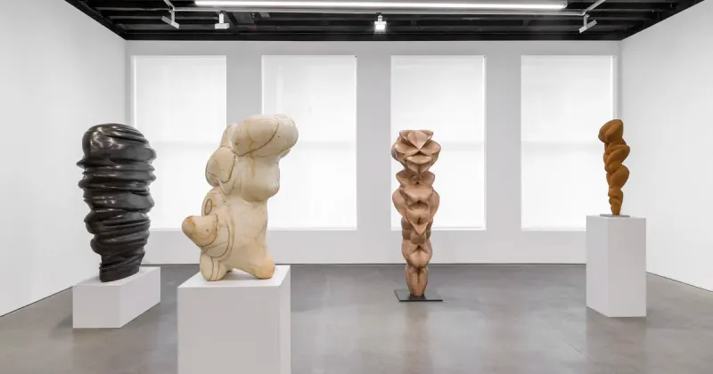 Tony Cragg, Tony Cragg