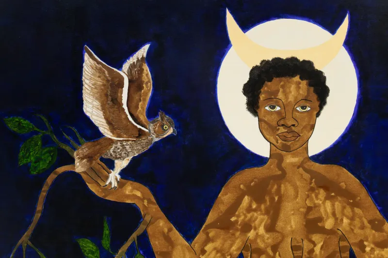 Bloom in the Sunlight, Dream in the Moonlight, Rosana Paulino