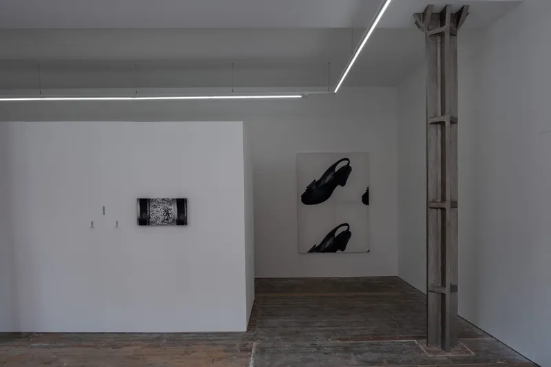 Fundus: A Schizo Society's Longing for the Armchair Psychology of Visual Cohesion (An Examination), Ana Viktoria Dzinic