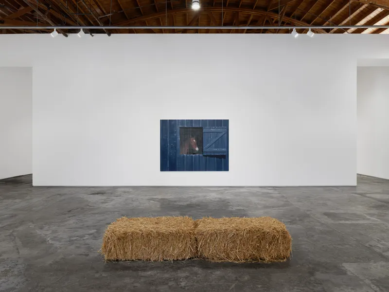 Happy Trails, Sarah Miska