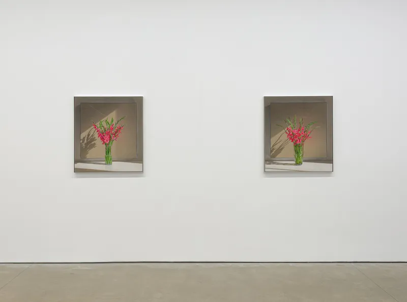 fluorochiaroscuro, Michael Wilkinson