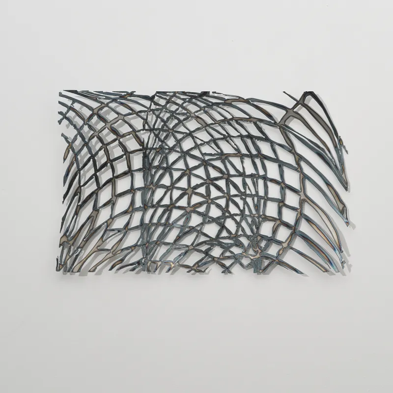 Nets, Mira Dayal
