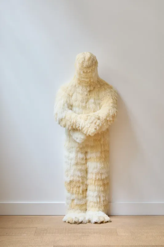 Bodily Inbetweenness, Woo Jin Joo