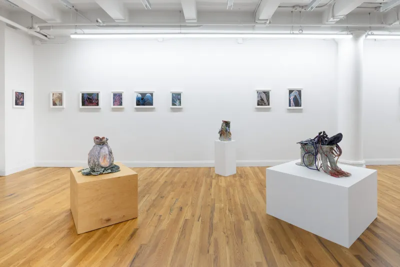 Rachel Frank: Wild Dreams, Rachel Frank