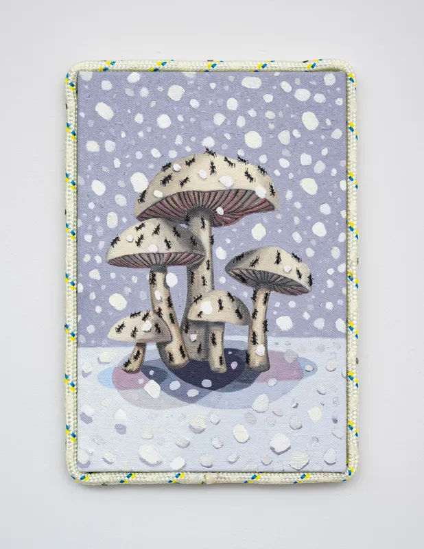 Ants on Mushrooms in the Snow, Dickon Drury