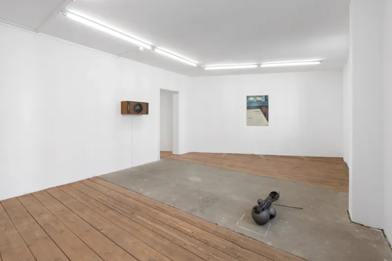 Species of Spaces, Johannes Kuczera, Matthias Odin, Zoë Carlon