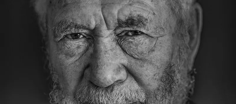 Portraits 1986 - 2026, Lou Boileau