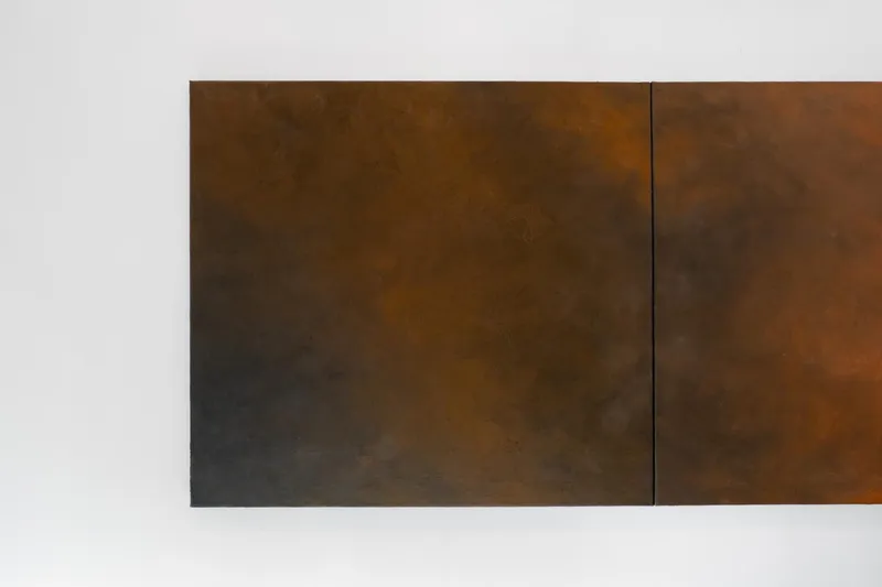 Forest Fire, Joe Goode
